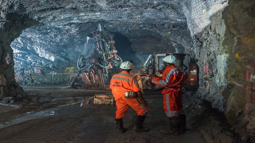 enjoying the nature enjoying the nature